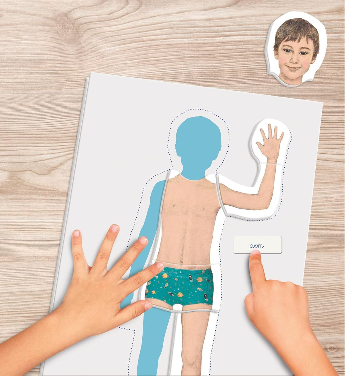 Montessori Human body Learning Toy