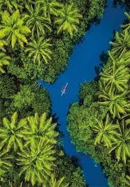 Puzzle 500 Pieces - Tropical Aerial View